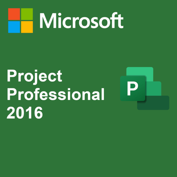 Project 2016 Professional Lisans