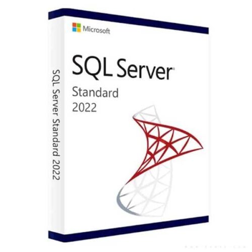 SQL Server 2022 Standard Lisans