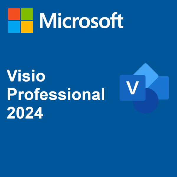 Visio Professional 2024 Lisans