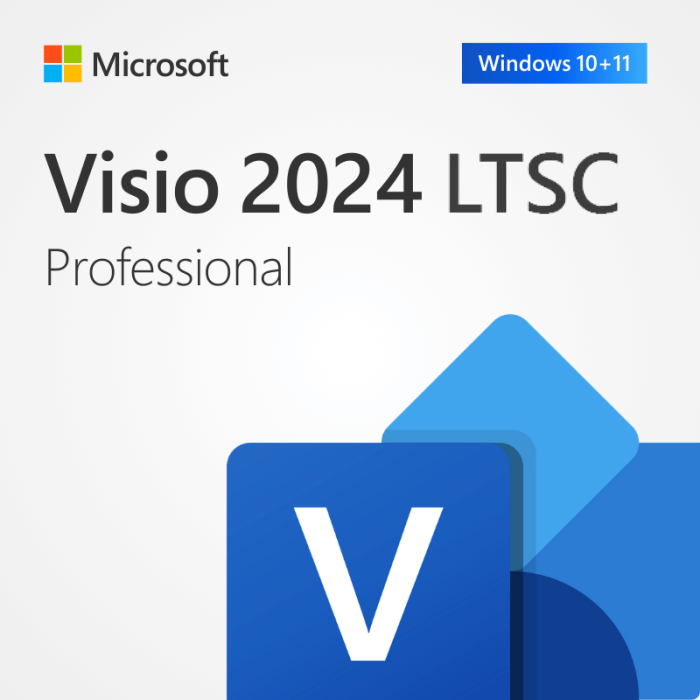 Microsoft Visio 2024 Lisans