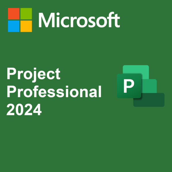 Project 2024 Professional Lisans