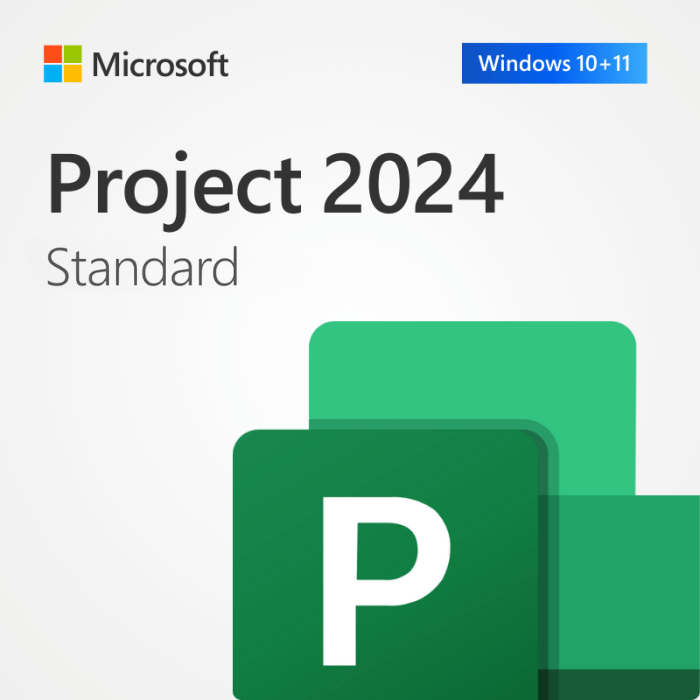 Project 2024 Standard Lisans